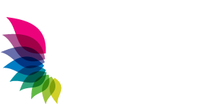 Bibee Dresses